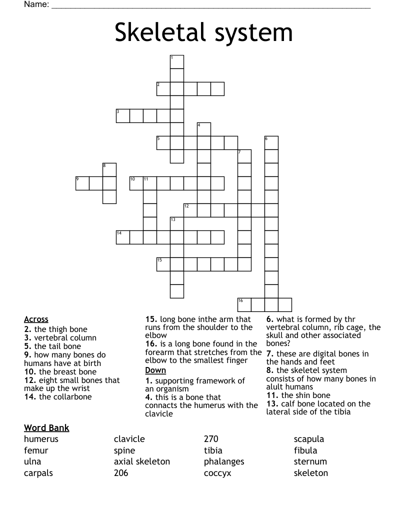 Skeletal system Crossword