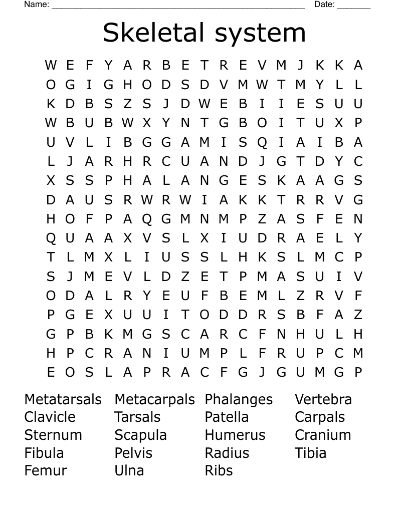 Skeletal system Word Search
