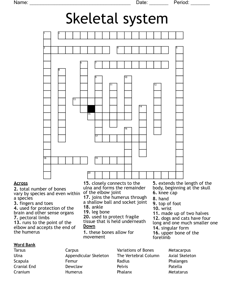 Skeletal system Crossword