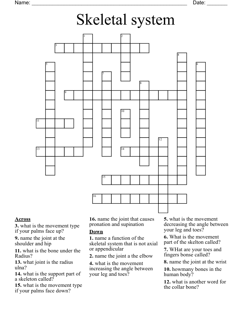Skeletal system Crossword