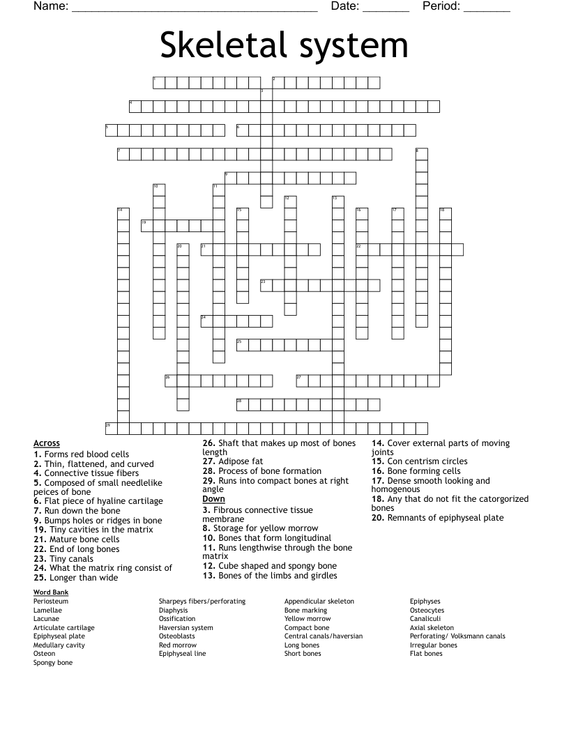 Skeletal system Crossword