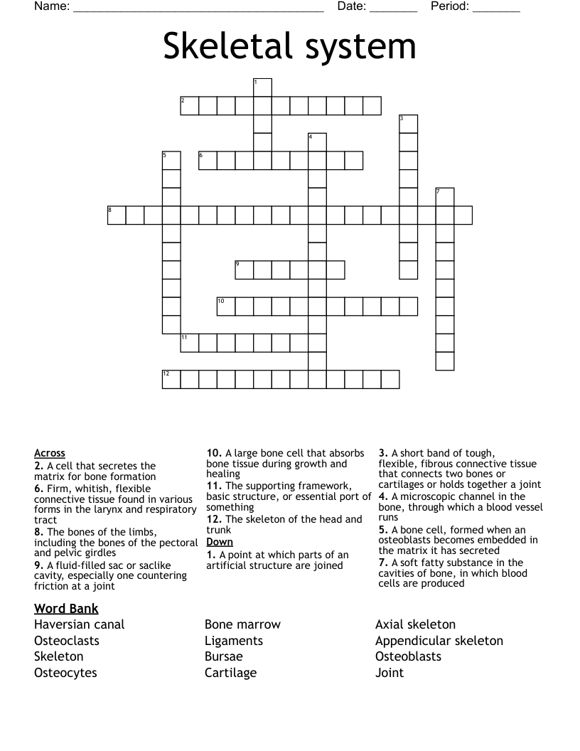 Skeletal system Crossword