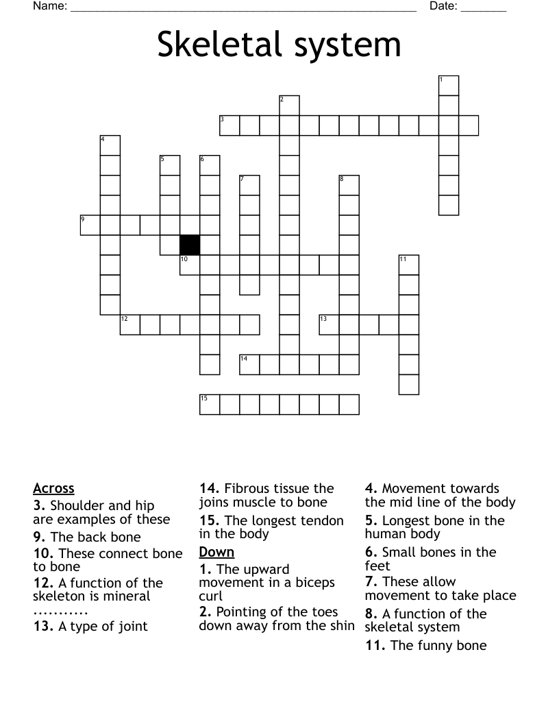Skeletal system Crossword
