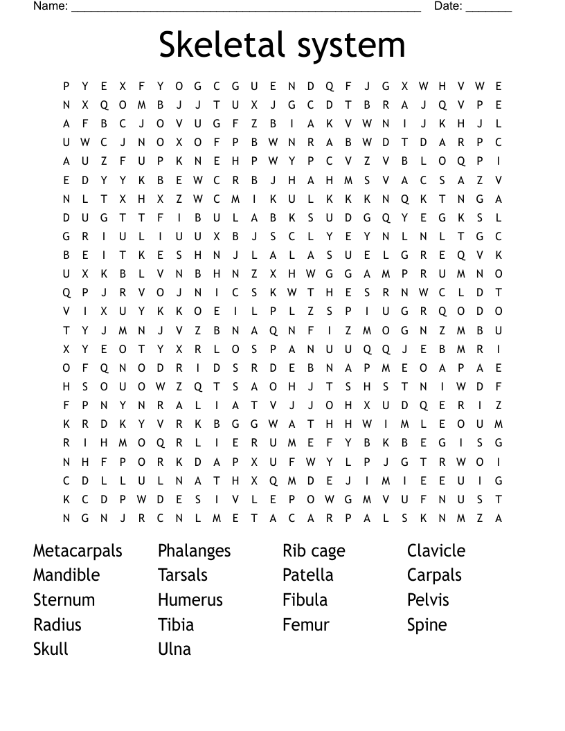 Skeletal system  Word Search