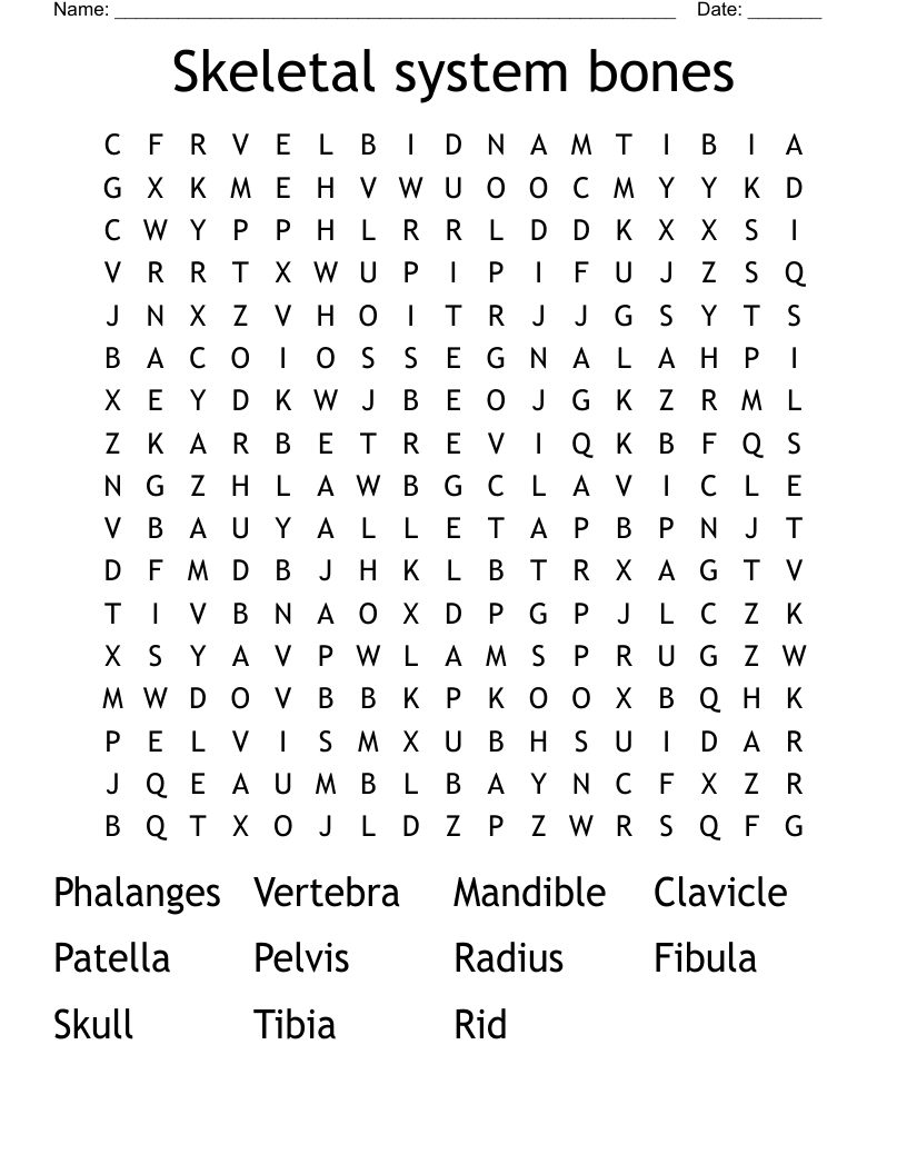 Skeletal system bones Word Search