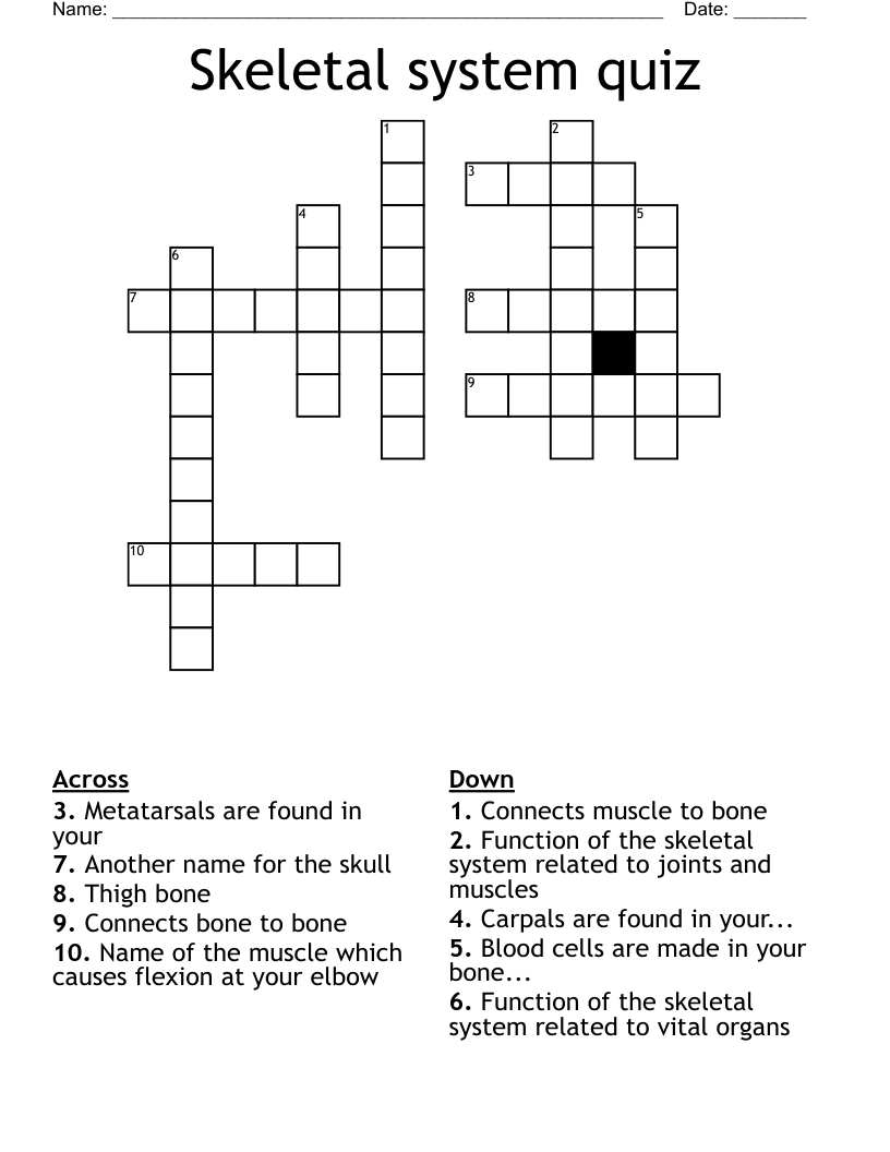 Skeletal system quiz Crossword