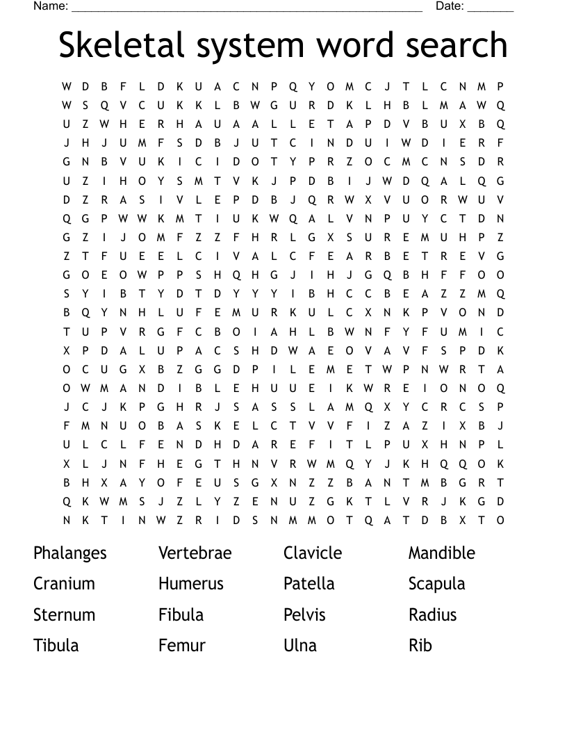 Skeletal system word search