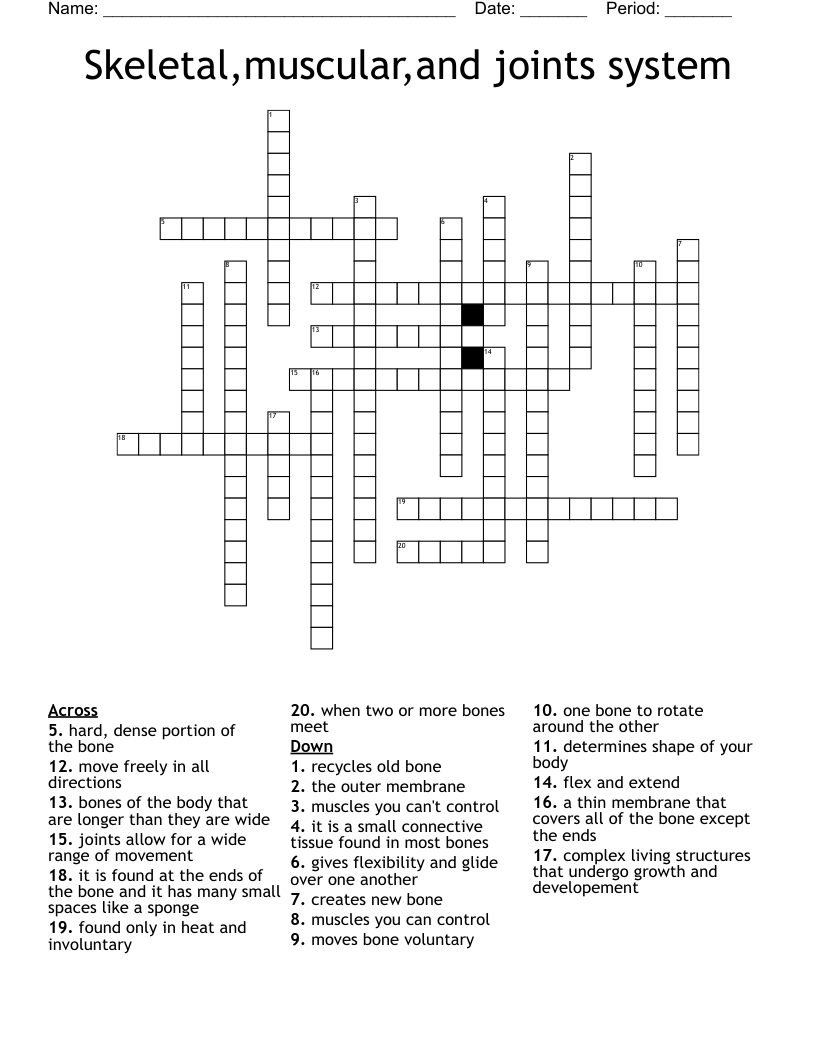 Skeletal,muscular,and joints system Crossword