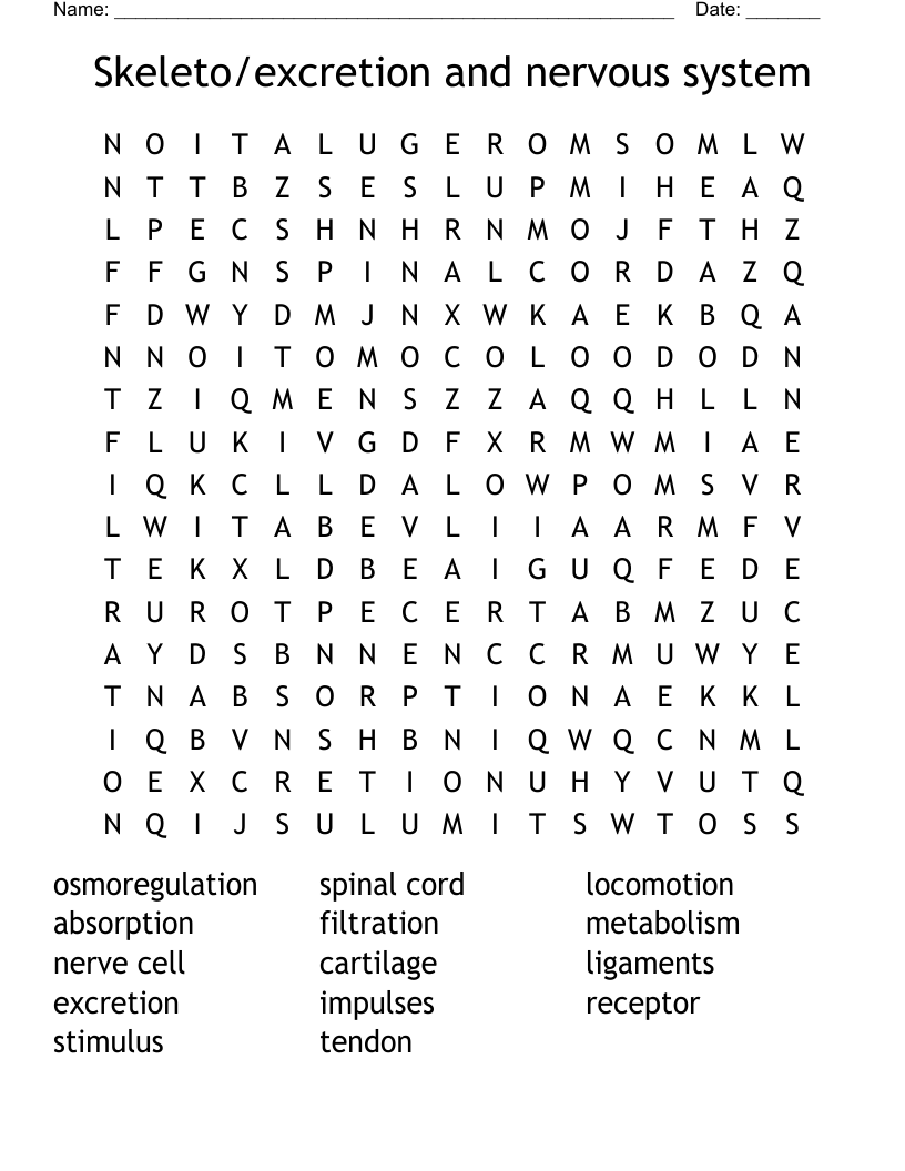 Skeleto/excretion and nervous system Word Search