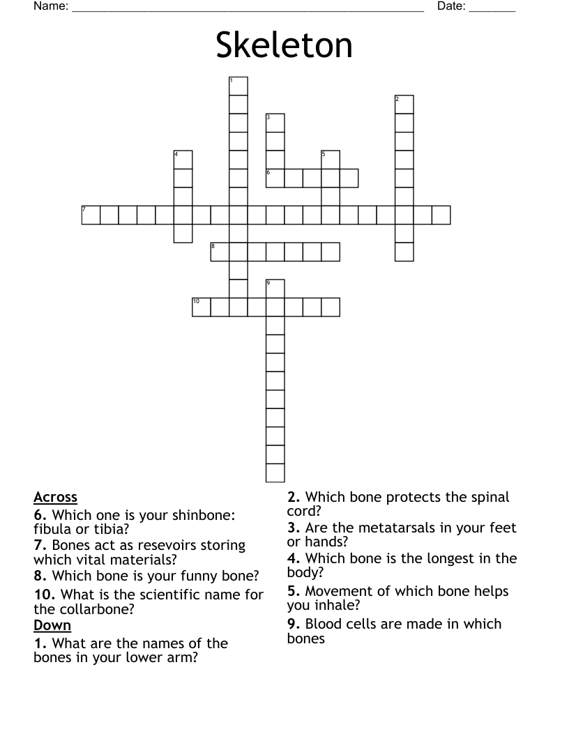 Skeleton Crossword