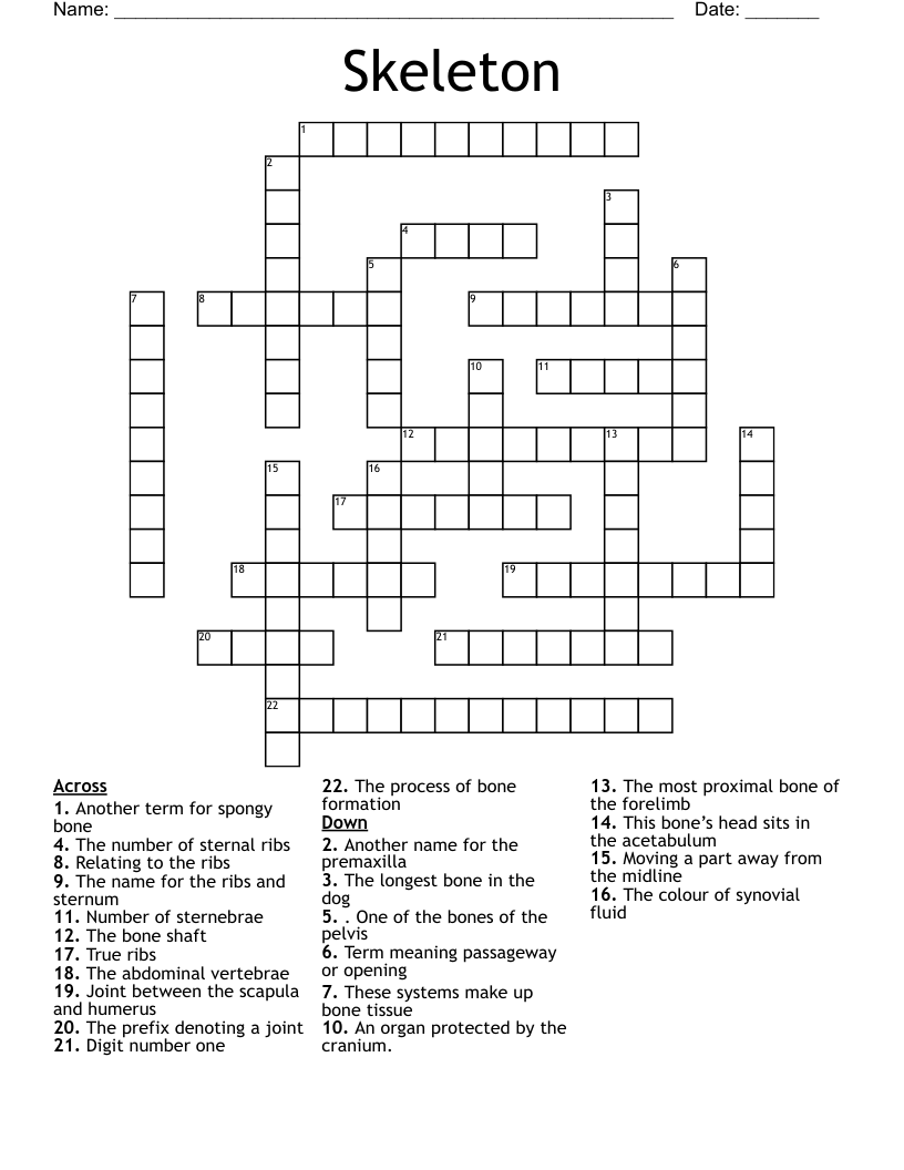 Skeleton Crossword