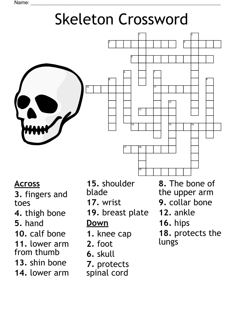 Skeleton Crossword