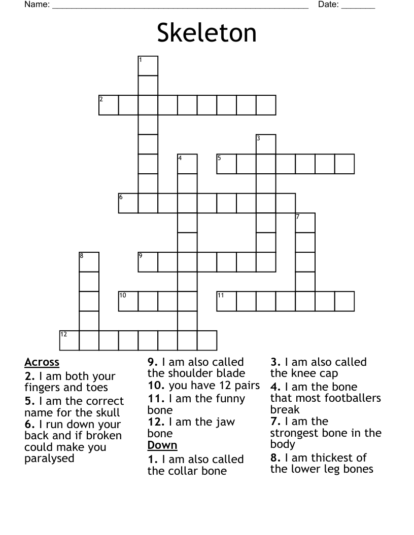 Skeleton  Crossword