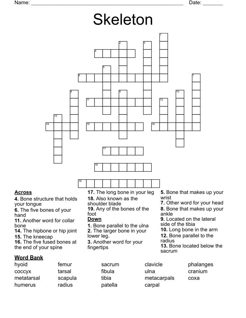 Skeleton  Crossword