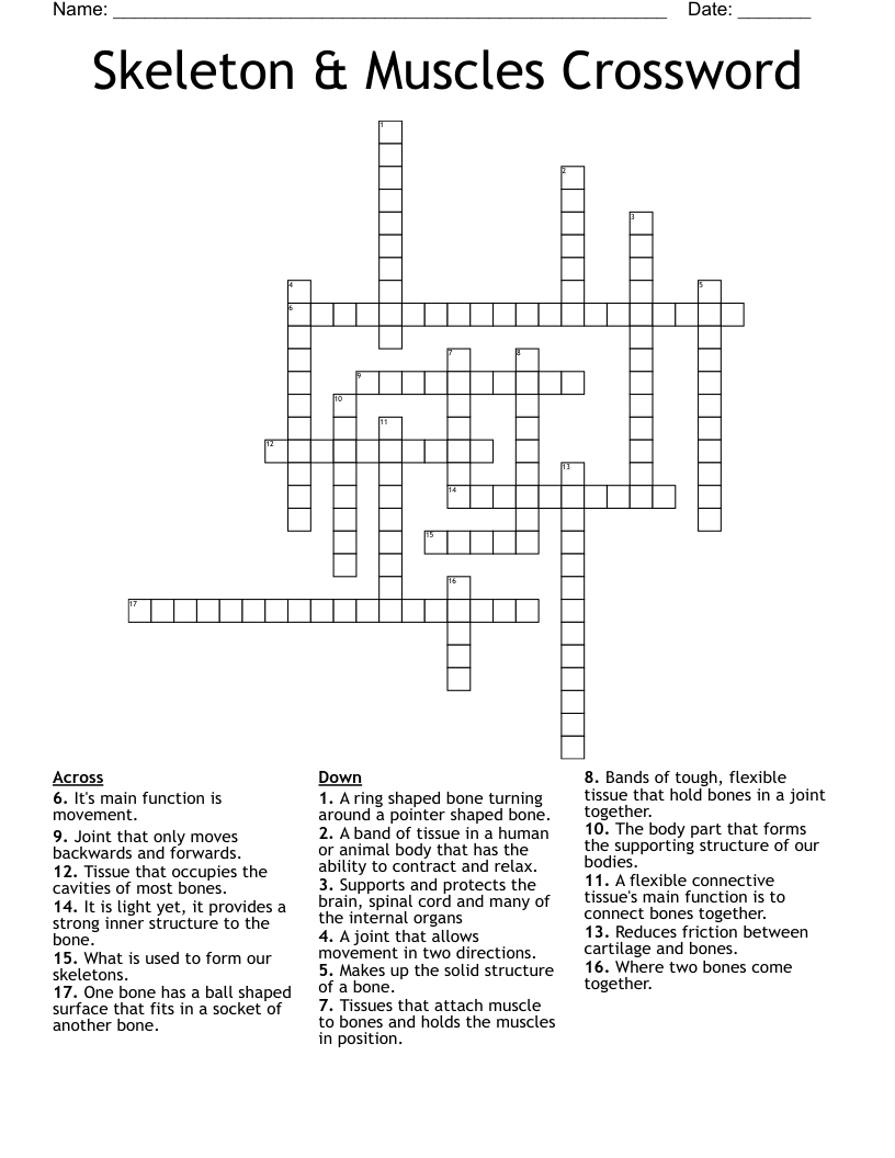 Skeleton & Muscles Crossword