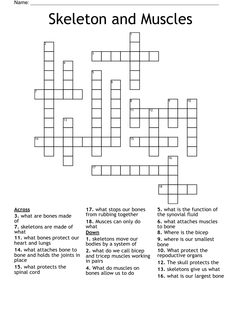Skeleton and Muscles Crossword