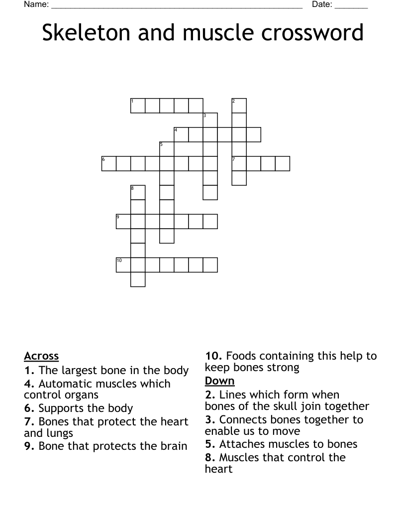 Skeleton and muscle crossword
