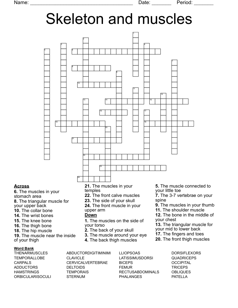 Skeleton and muscles Crossword