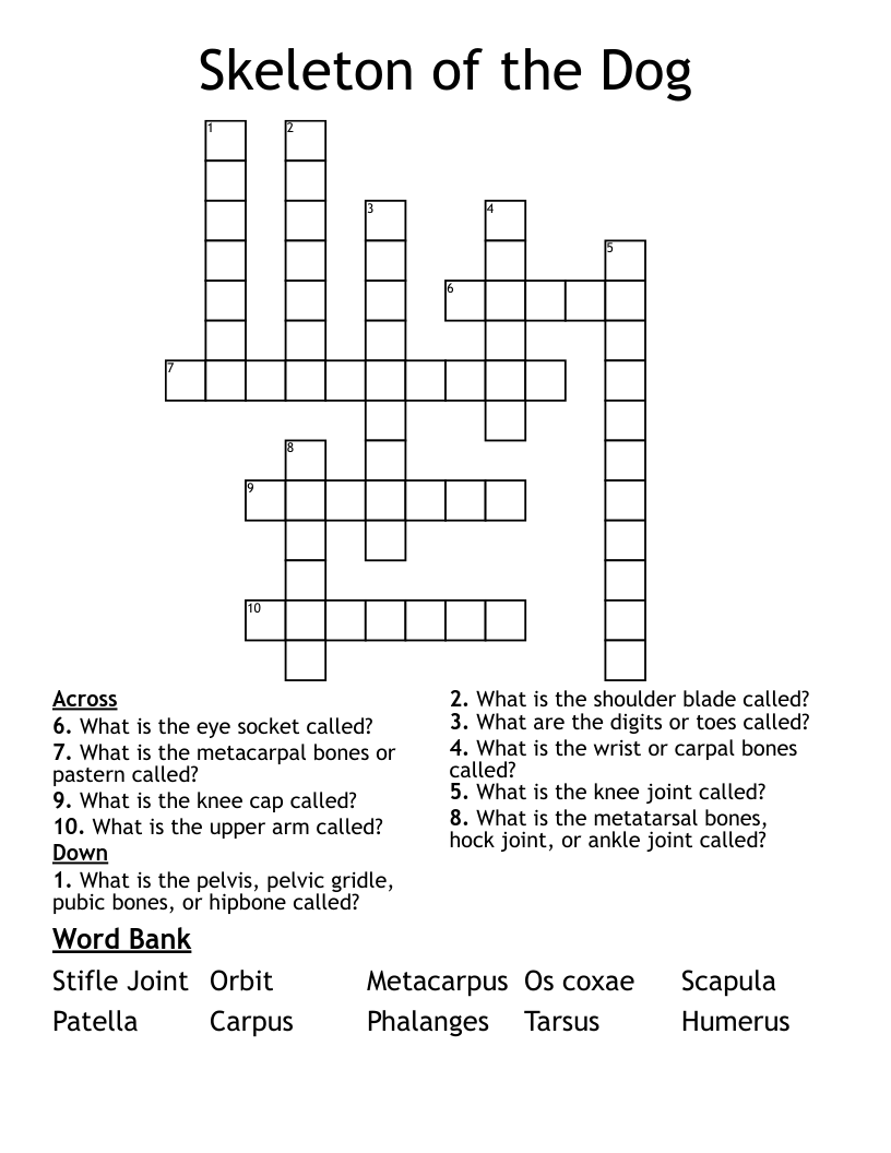 Skeleton of the Dog Crossword