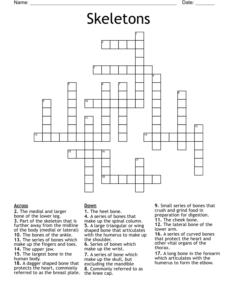 Skeletons Crossword