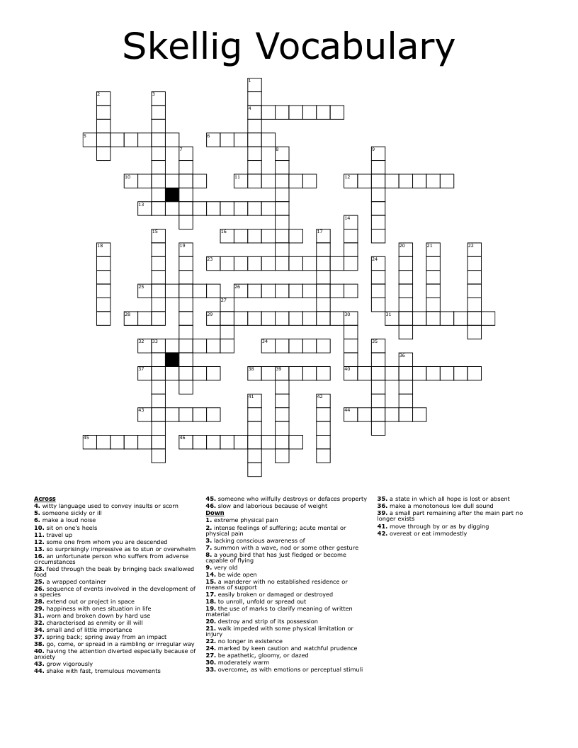 Skellig Vocabulary  Crossword