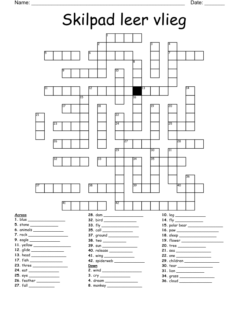 Skilpad leer vlieg Crossword