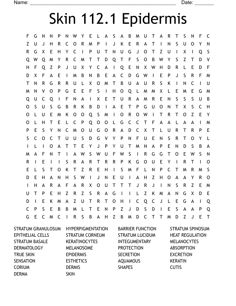 Skin 112.1 Epidermis Word Search
