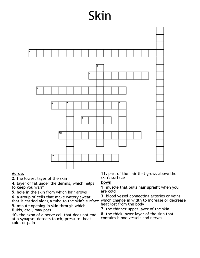 Skin Crossword