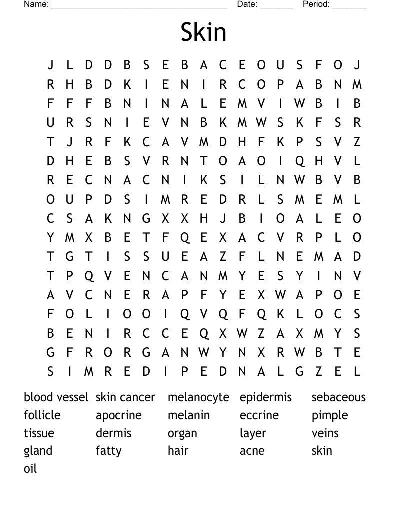 Skin Word Search