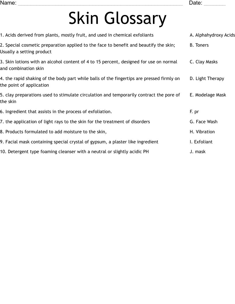 Skin Glossary  Worksheet