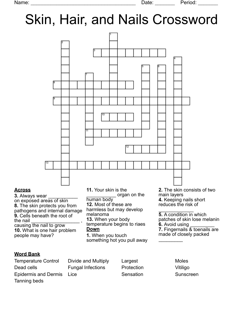Skin, Hair, and Nails Crossword