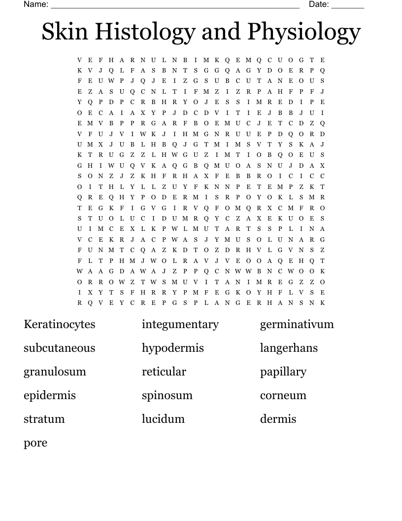 Skin Histology and Physiology Word Search