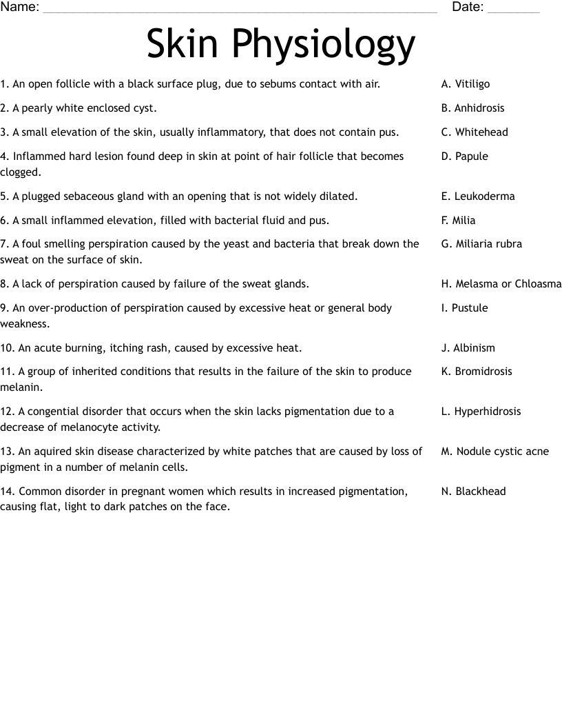 Skin Physiology Worksheet