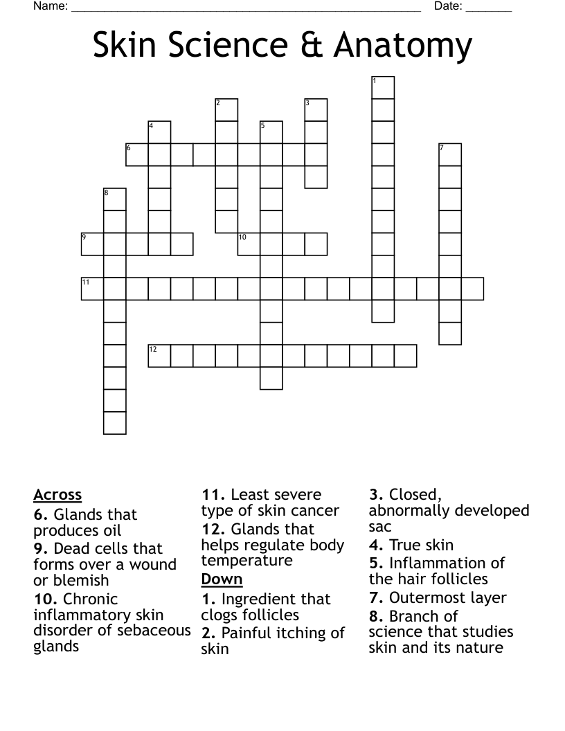 Skin Science & Anatomy Crossword