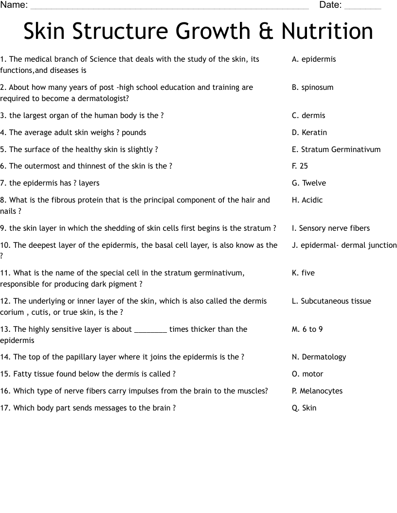 Skin Structure Growth & Nutrition  Worksheet