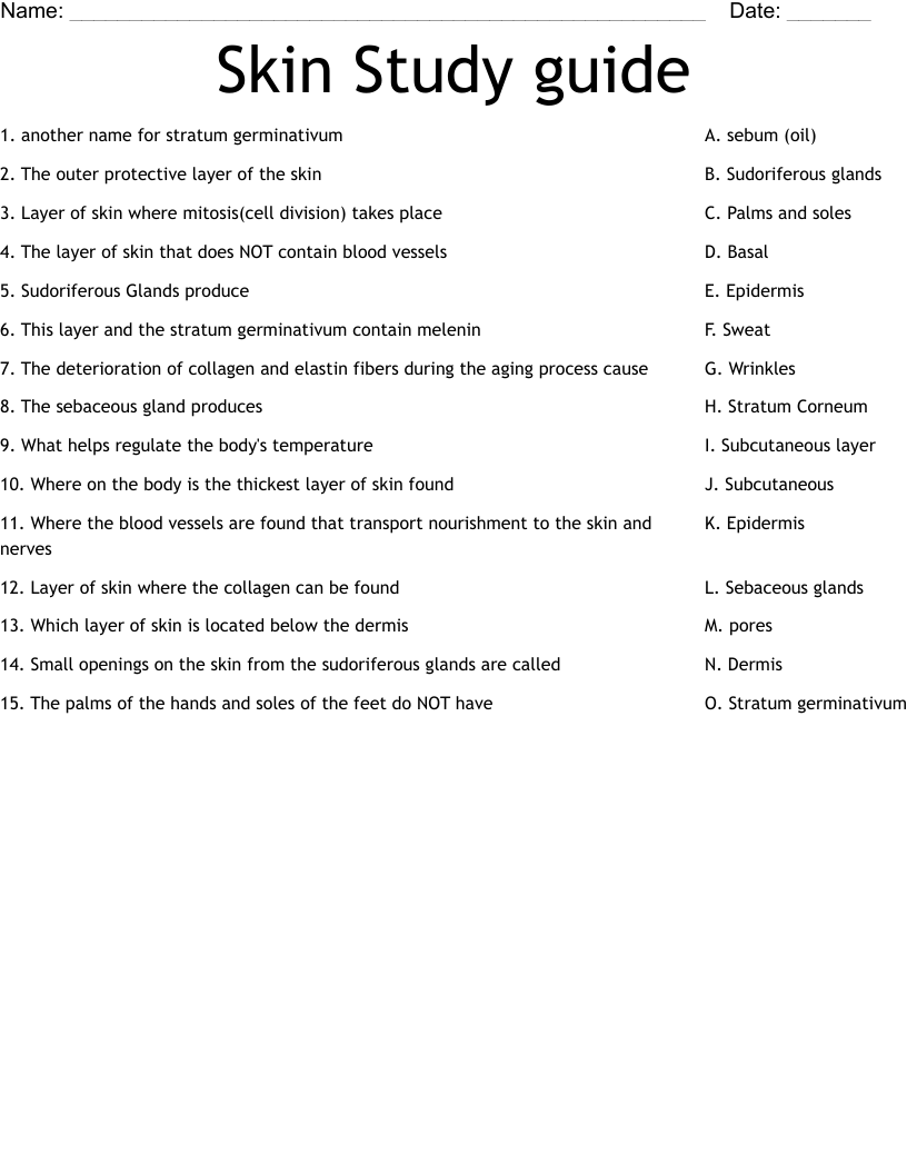 Skin Study guide Worksheet