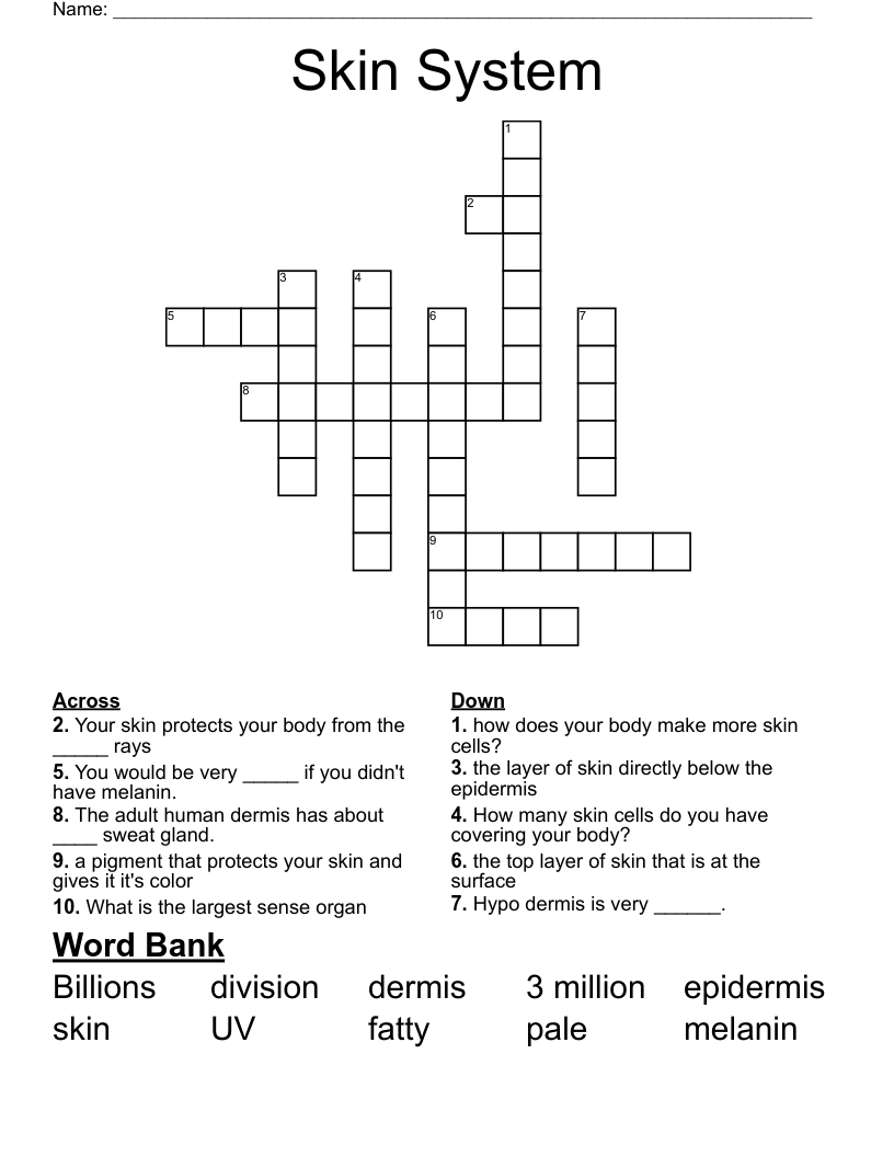 Skin System Crossword