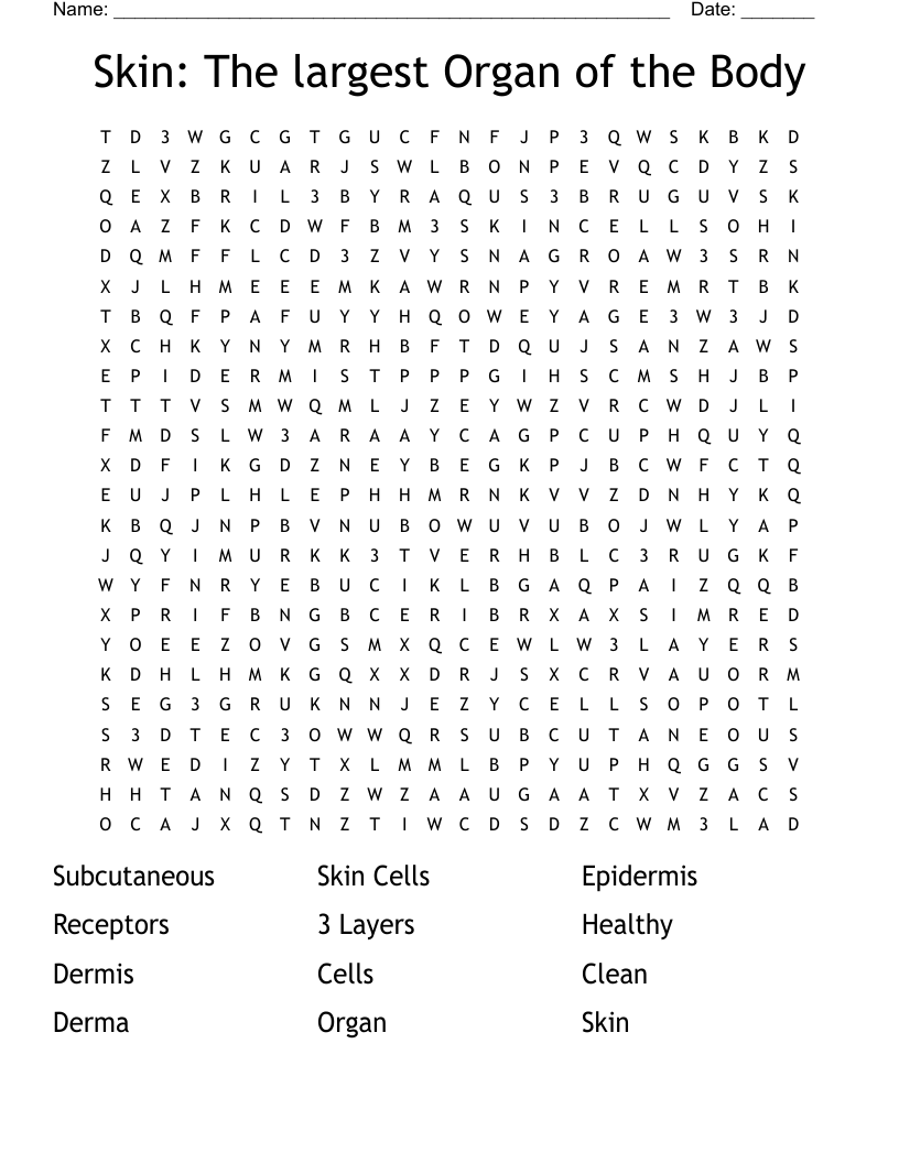 Skin: The largest Organ of the Body Word Search