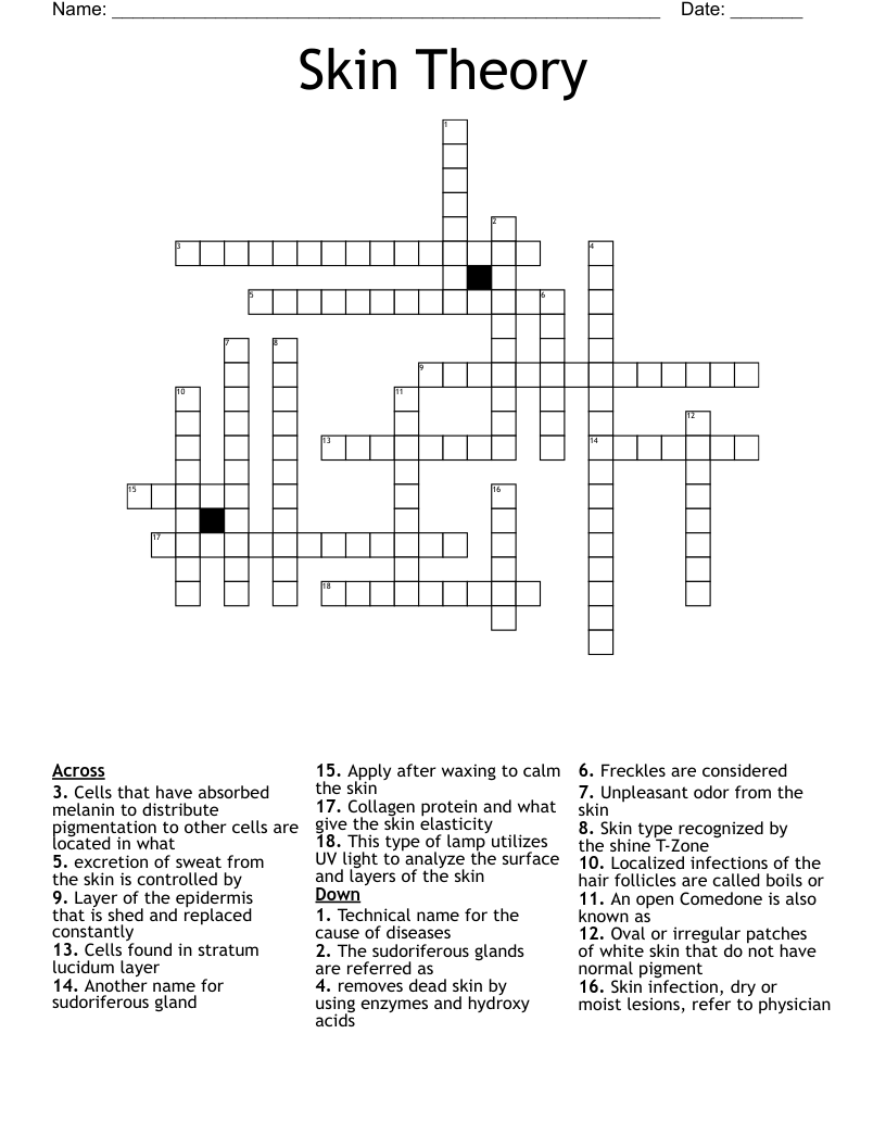 Skin Theory Crossword