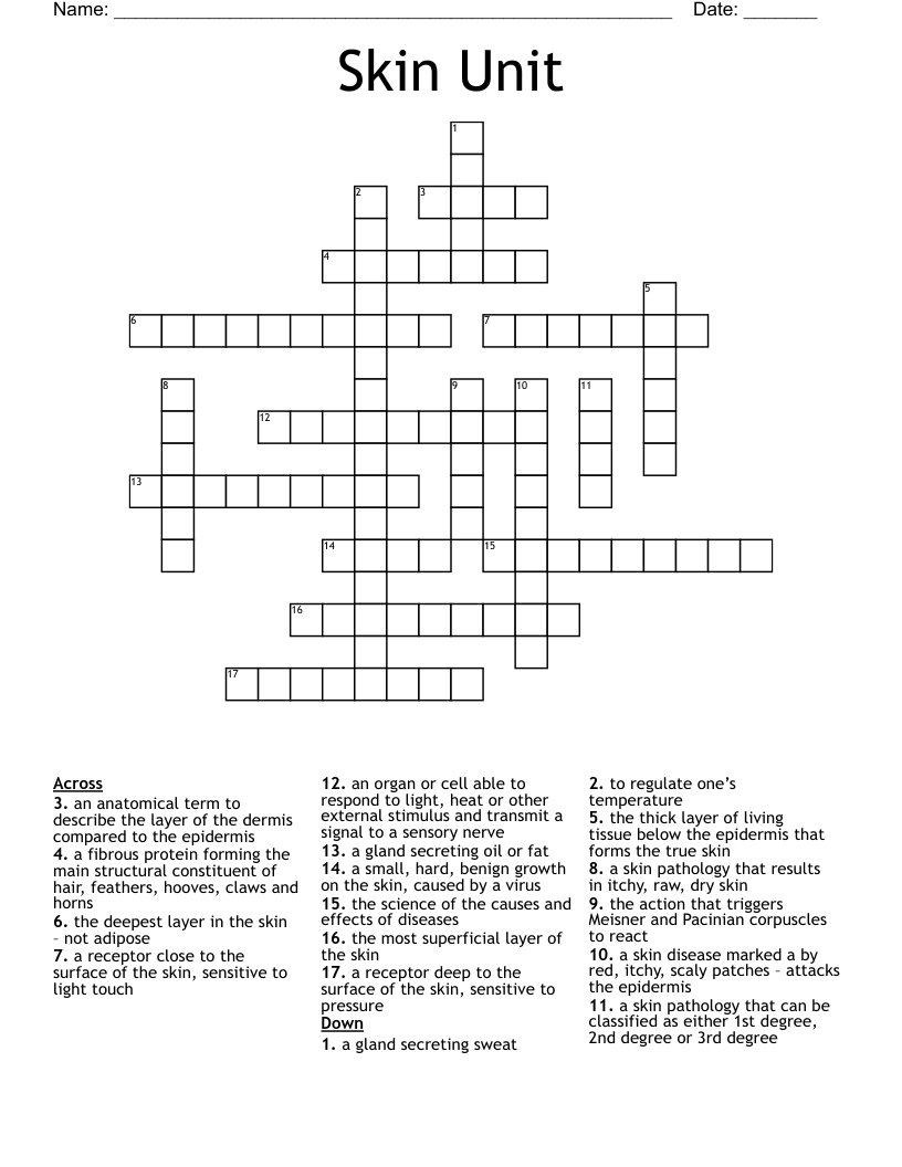 Skin Unit  Crossword