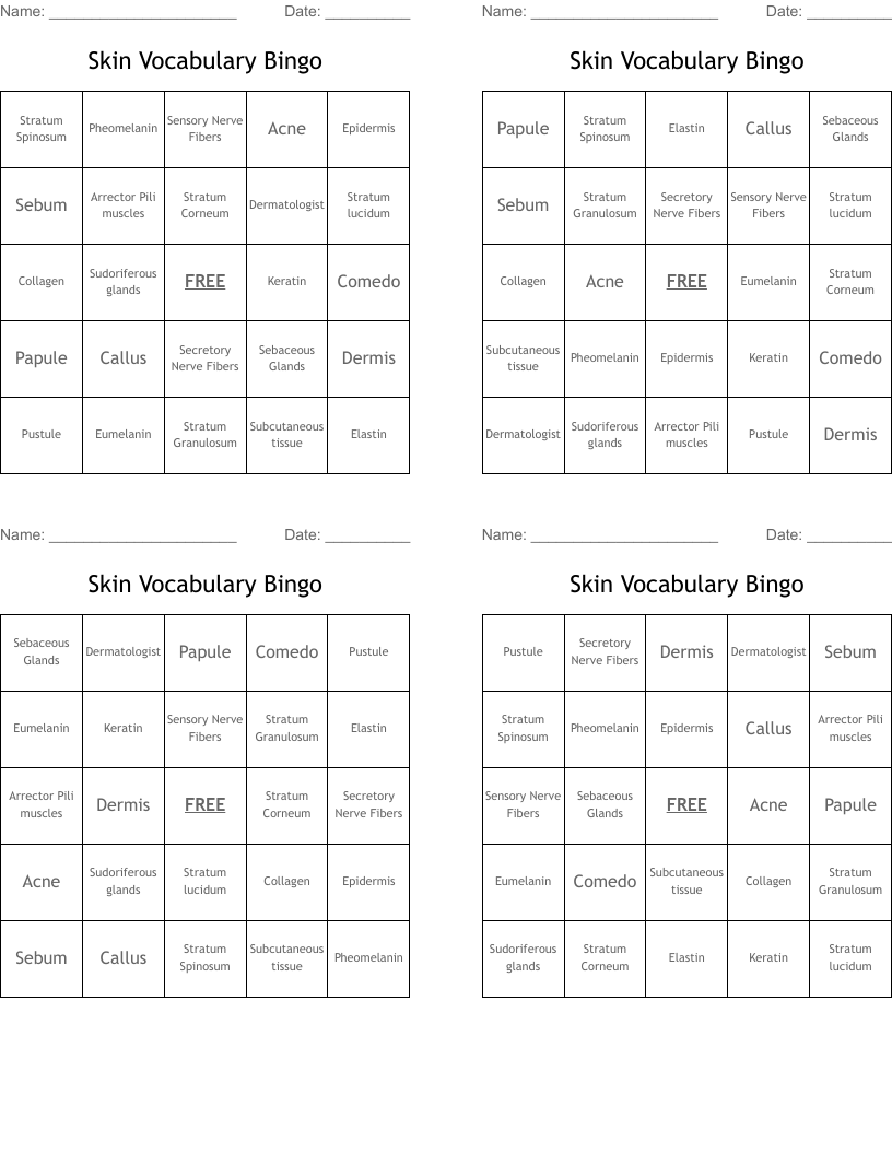 Skin Vocabulary Bingo