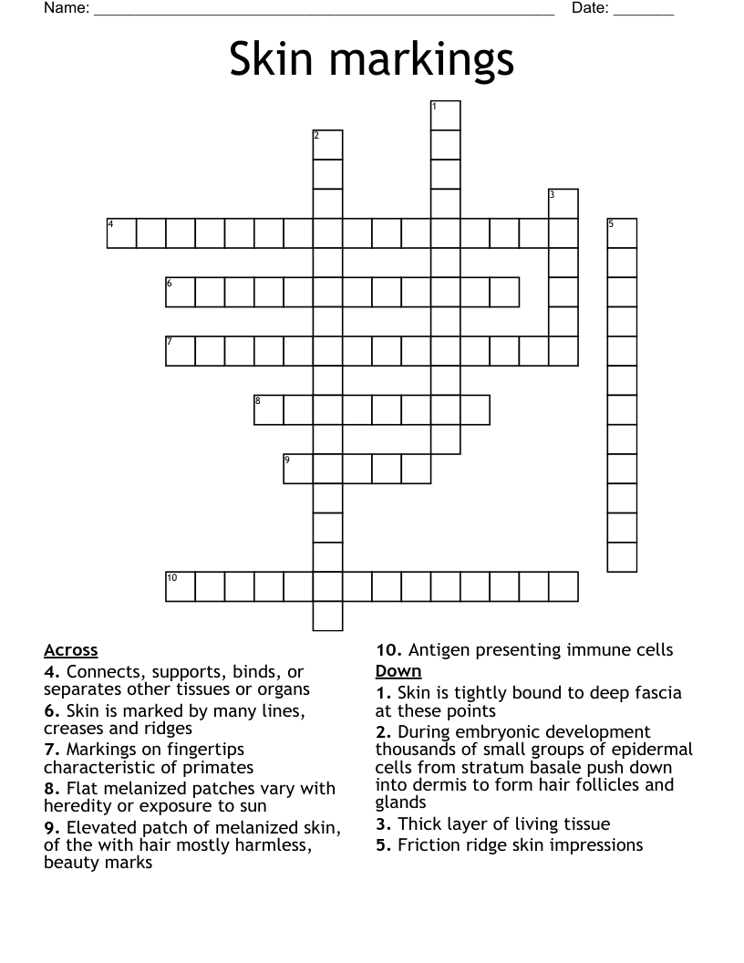 Skin markings Crossword