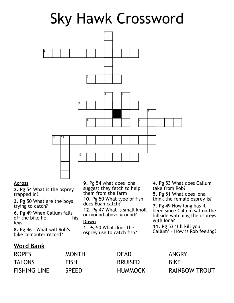 Sky Hawk Crossword