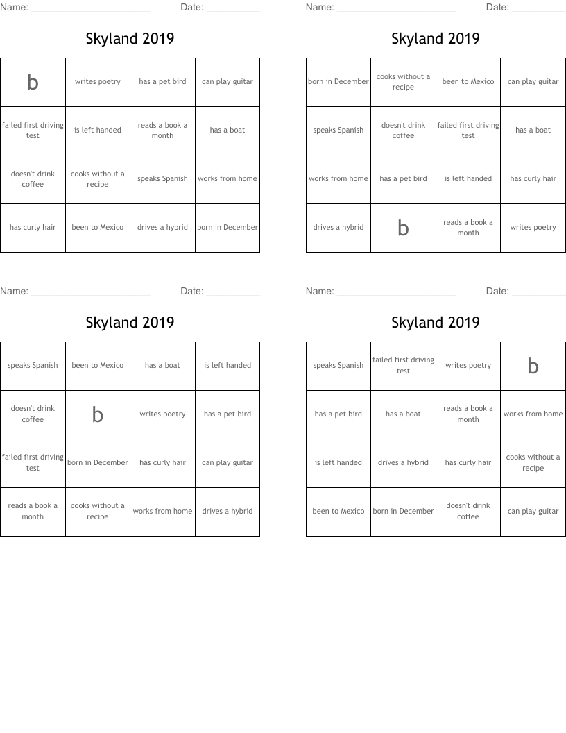 Skyland 2019 Bingo Cards