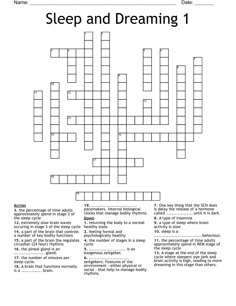 Sleep and Dreaming 1 Crossword