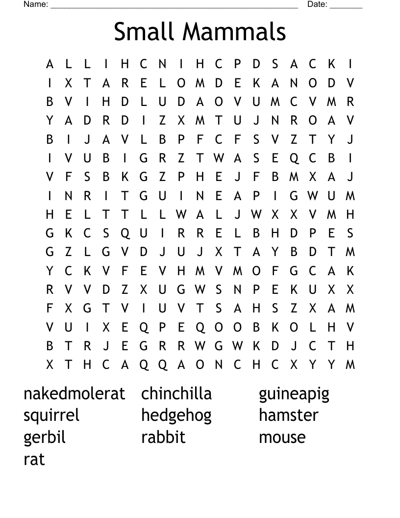 Small Mammals Word Search