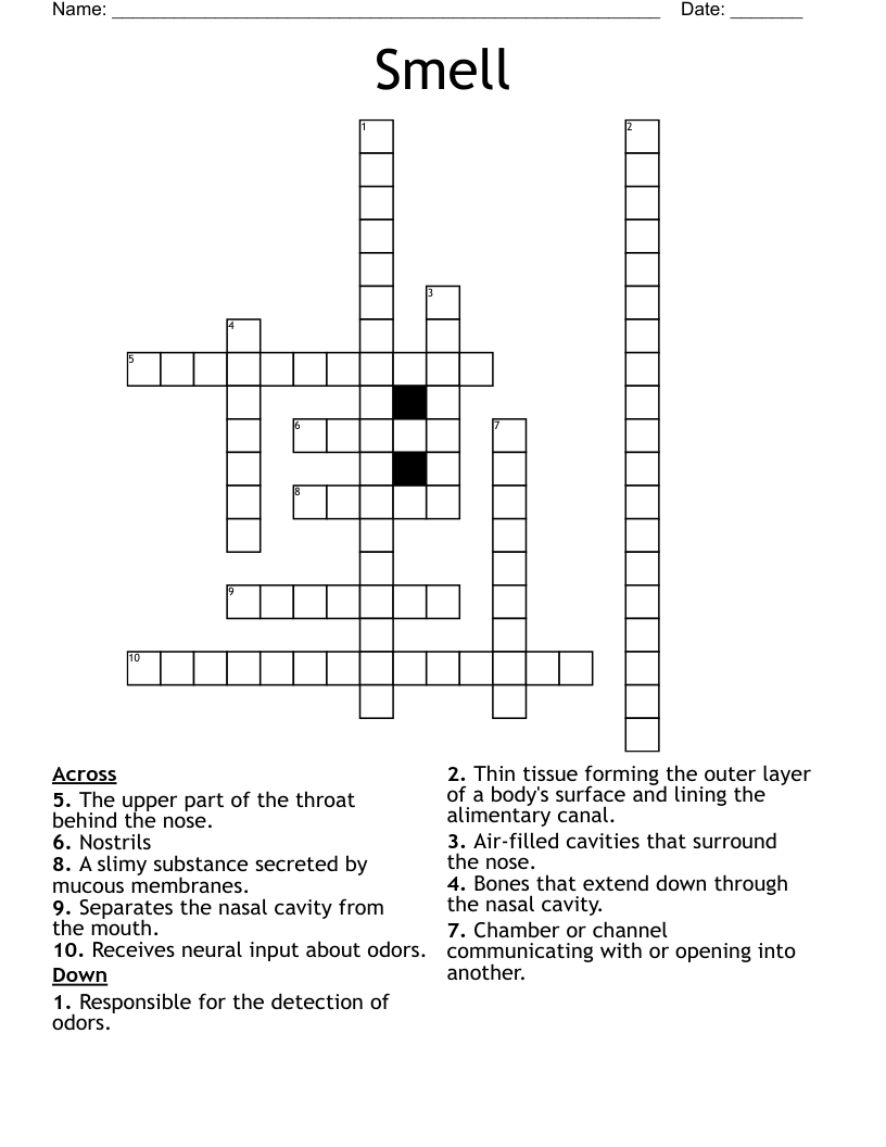 Smell Crossword