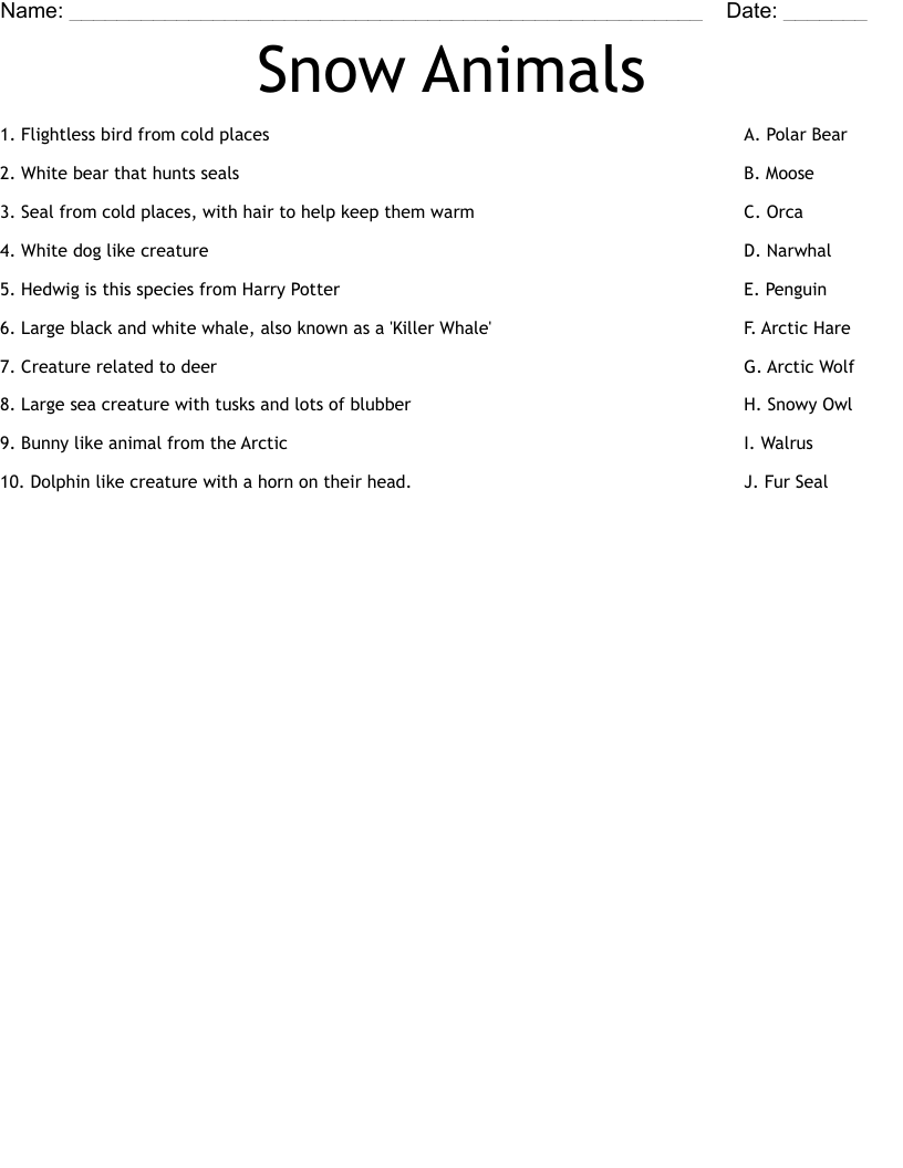 Snow Animals Worksheet