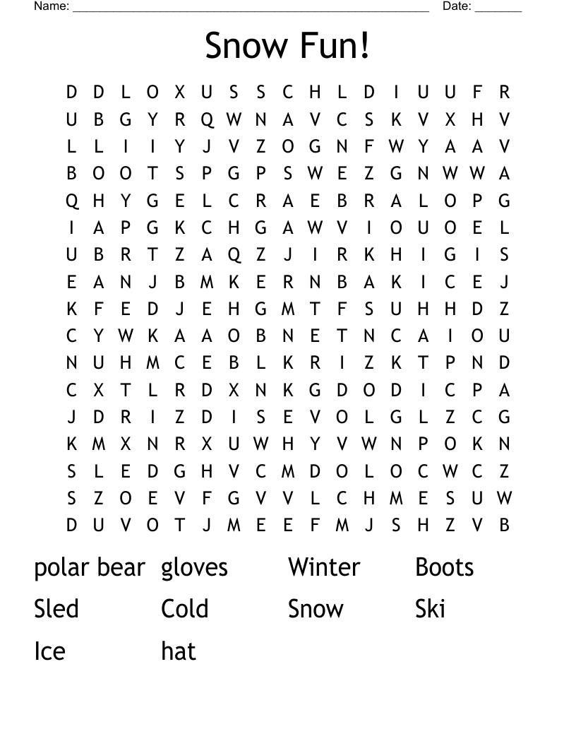 Snow Fun!  Word Search