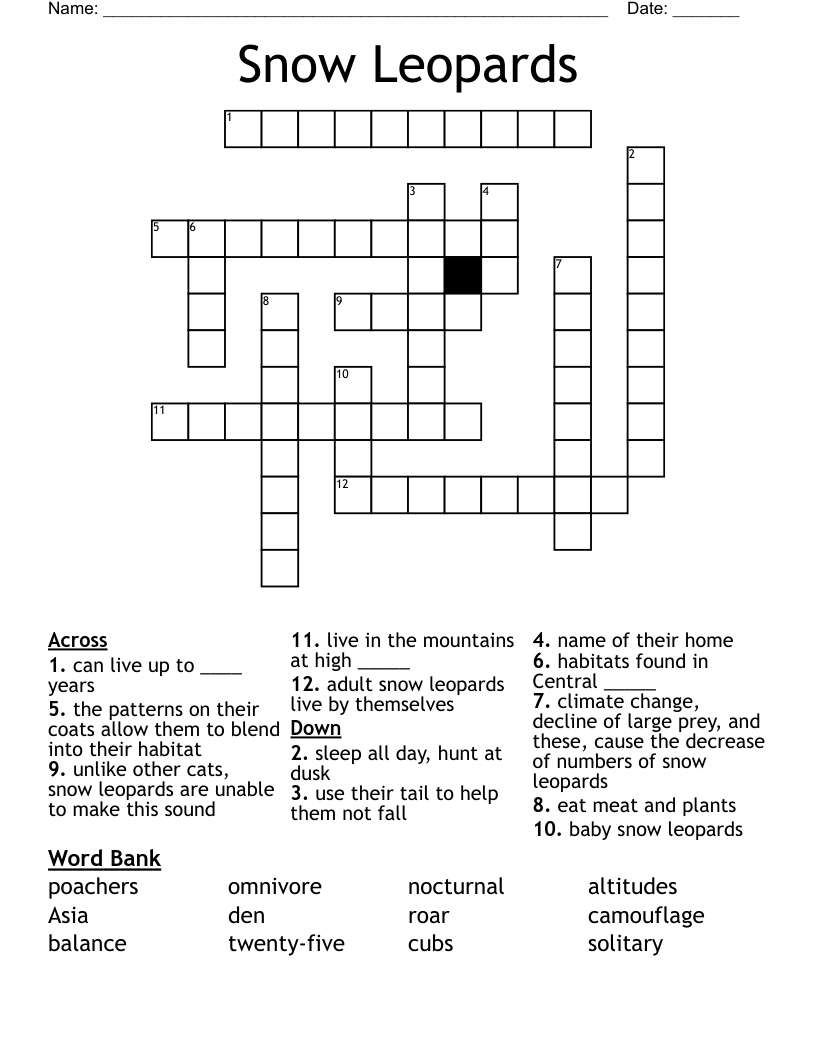 Snow Leopards Crossword